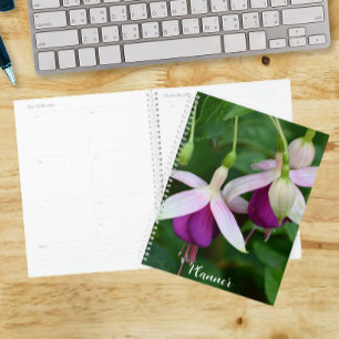 Lila Fuchsienblüten mit weißen Kelchblättern Flora Planer