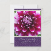 Lila Fuschia Dahlia uAwg mit Umschlägen RSVP Karte (Vorderseite)