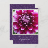 Lila Fuschia Dahlia uAwg mit Umschlägen RSVP Karte (Vorne/Hinten)