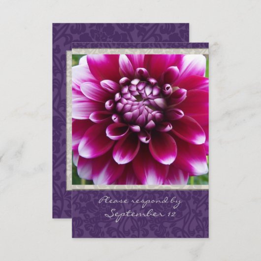 Lila Fuschia Dahlia uAwg mit Umschlägen RSVP Karte (Vorne/Hinten)