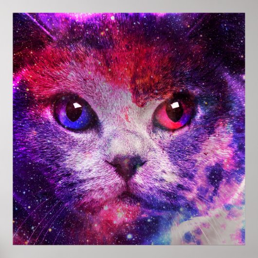Lila Galaxie-Katze  Poster (Vorne)