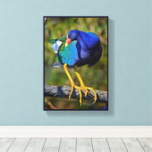 Lila Gallinule Leinwanddruck (Insitu (Holzboden))