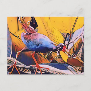 Lila Gallinule Postkarte