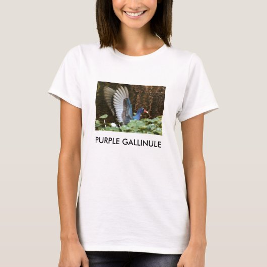LILA GALLINULE T-Shirt (Vorderseite)