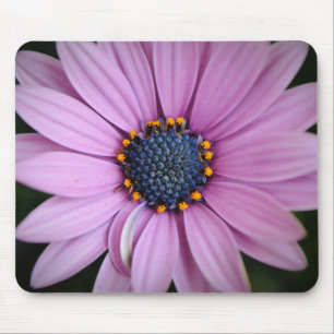Lila Gänseblümchen-Blumenliebhaber-Mauspad Mousepad