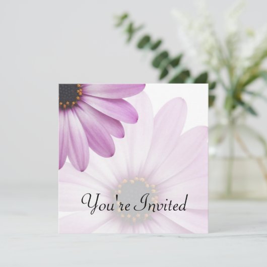 Lila Gänseblümchen Einladung (Stehend Vorderseite)