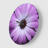 Lila Gänseblümchen Große Wanduhr (Winkel)
