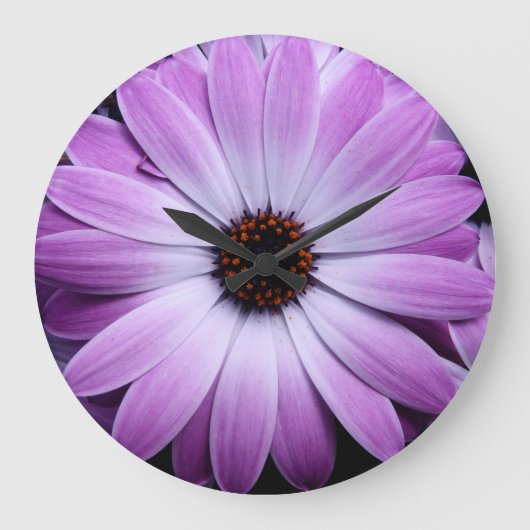Lila Gänseblümchen Große Wanduhr (Vorderseite)