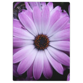 Lila Gänseblümchen Klemmbrett (Rückseite)