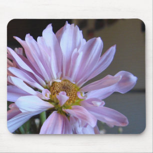 Lila Gänseblümchen Mousepad