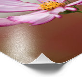 Lila Garden Cosmo Blume Nah-up Fotodruck (Ecke)