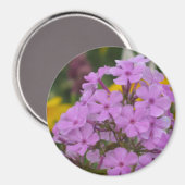 Lila Garden Phlox 3" Round Magnet (Vorderseite/Rückseite)