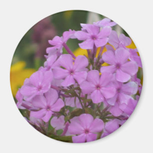 Lila Garden Phlox 3" Round Magnet