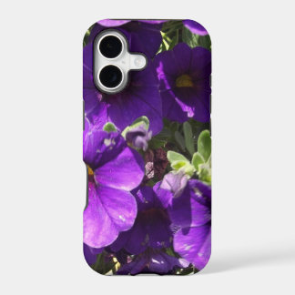 Lila Garten-Blumen