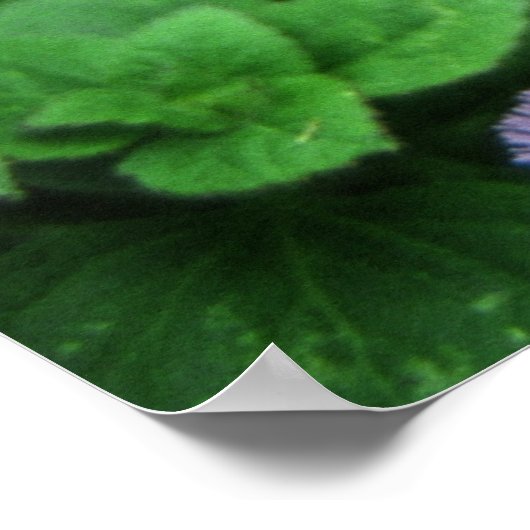 Lila Garten Poster (Ecke)