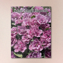 Lila gefranste Tulpen aus Amsterdam Puzzle