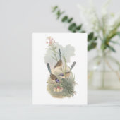 Lila gekrönte Fairywren Postkarte (Stehend Vorderseite)