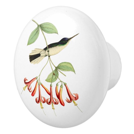 Lila gekrönter feenhafter Kolibri Keramikknauf (Rechts)