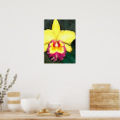 Lila & gelb Cattleya Orchid Poster (Küche)