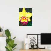 Lila & gelb Cattleya Orchid Poster (Heimbüro)