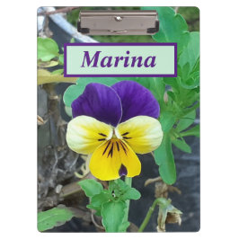 Lila-Gelbe Pansy-Zwischenablage Klemmbrett