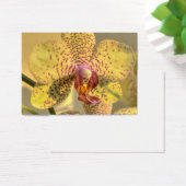 Lila Gelbe Phalaenopsis (Schreibtisch)