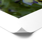 Lila Gelbes Foto Poster (Ecke)