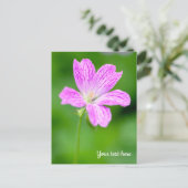 Lila-Geranie-Postkarte Postkarte (Stehend Vorderseite)
