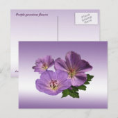 Lila Geranium-Blume Postkarte (Vorne/Hinten)