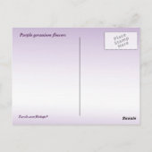 Lila Geranium-Blume Postkarte (Rückseite)