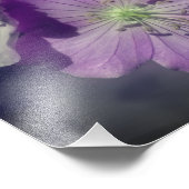 Lila Geranium-Blume, teilweise Farbe 8x10 Fotodruck (Ecke)
