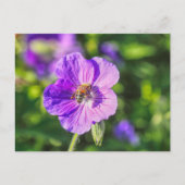 Lila Geranium mit Honey Bee Postkarte (Vorderseite)