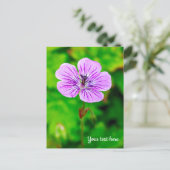 Lila Geranium Postkarte (Stehend Vorderseite)