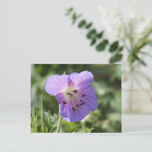 Lila Geranium Postkarte (Stehend Vorderseite)
