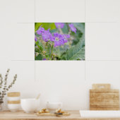 Lila Geranium Wildblume Botanisches Foto Poster (Küche)