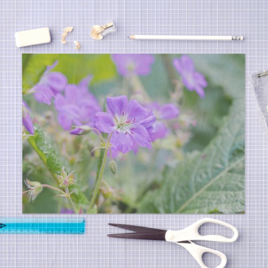 Lila Geranium Wildblume Botanisches Foto Seidenpapier (Handwerk)