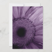 LILA Gerber Daisy Hochzeitseinladung Einladung (Rückseite)