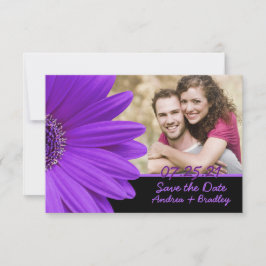 Lila Gerbera Daisy Black Foto Wedding Save The Date