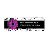 Lila Gerbera Daisy Black & White Scroll (Vorne)