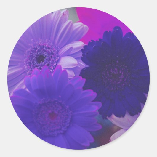 Lila Gerbera Daisy Blume Art Decal Stickers (Vorderseite)