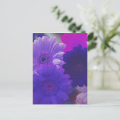 Lila Gerbera Daisy Blume Foto Postkarte (Stehend Vorderseite)