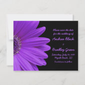 Lila Gerbera Daisy Blume Foto Wedding Save The Date (Rückseite)