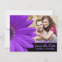 Lila Gerbera Daisy Blume Foto Wedding Save The Date