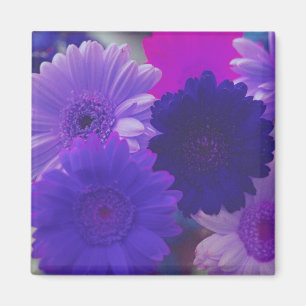 Lila Gerbera Daisy Blume Kühlschrank Magnete Magnet