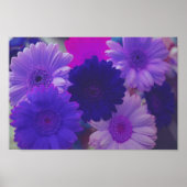 Lila Gerbera Daisy Blume Wall Art Print Poster (Vorne)