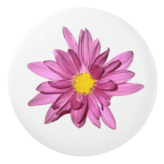 Lila Gerbera-Keramik Keramikknauf (Vorderseite)