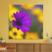 Lila Gerbera unter gelben Blumen Leinwand (Insitu (Wohnzimmer))