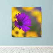 Lila Gerbera unter gelben Blumen Leinwand (Insitu (Holzboden))