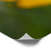 Lila Gerbera unter gelben Blumen Poster (Ecke)