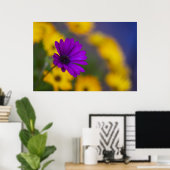 Lila Gerbera unter gelben Blumen Poster (Heimbüro)
